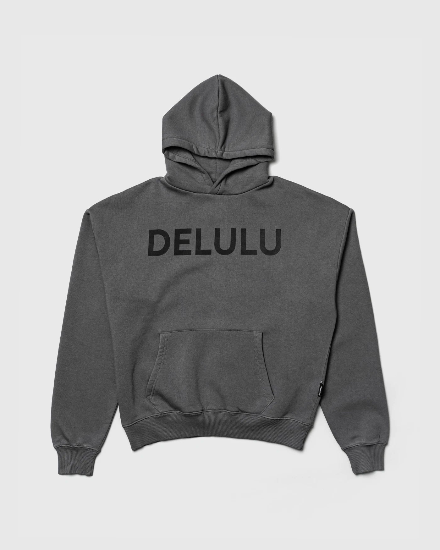 DELULU Hoodie